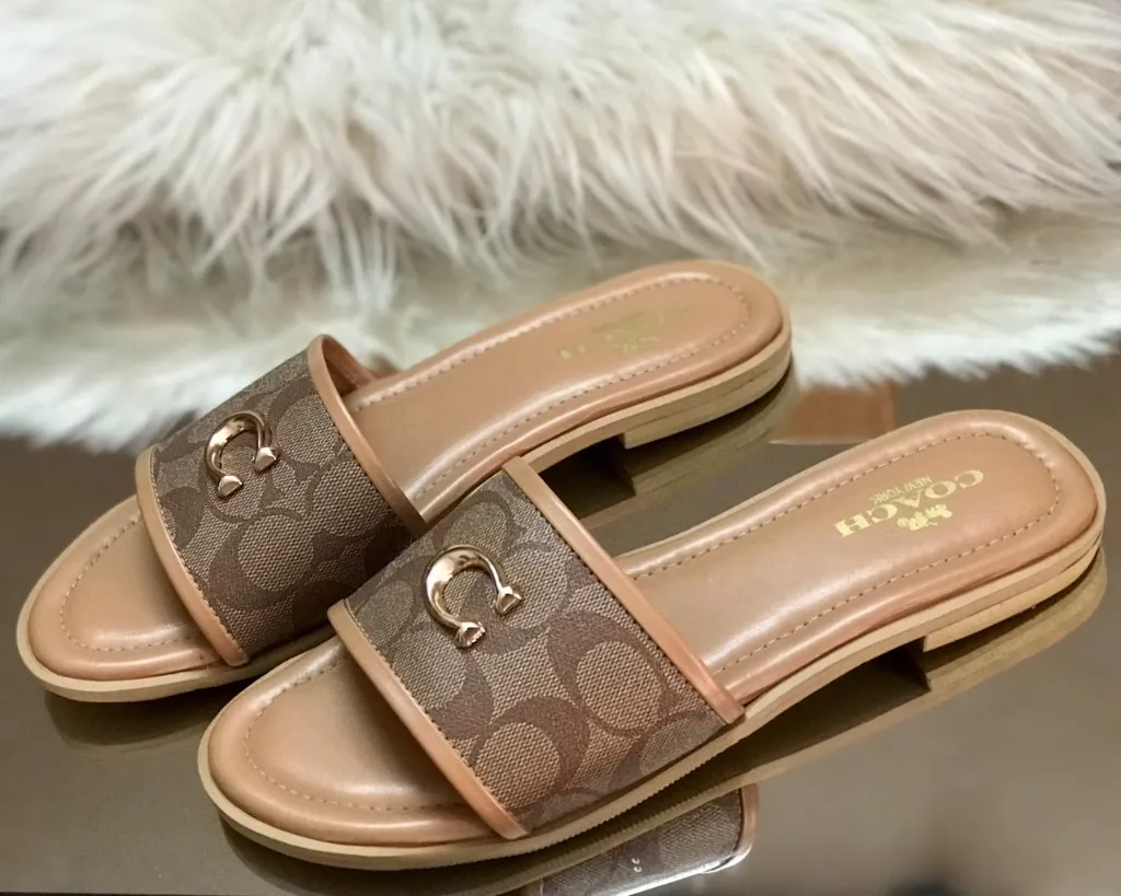 WhatsApp Image 2026-03-11 at 2.26.30 PM.webp