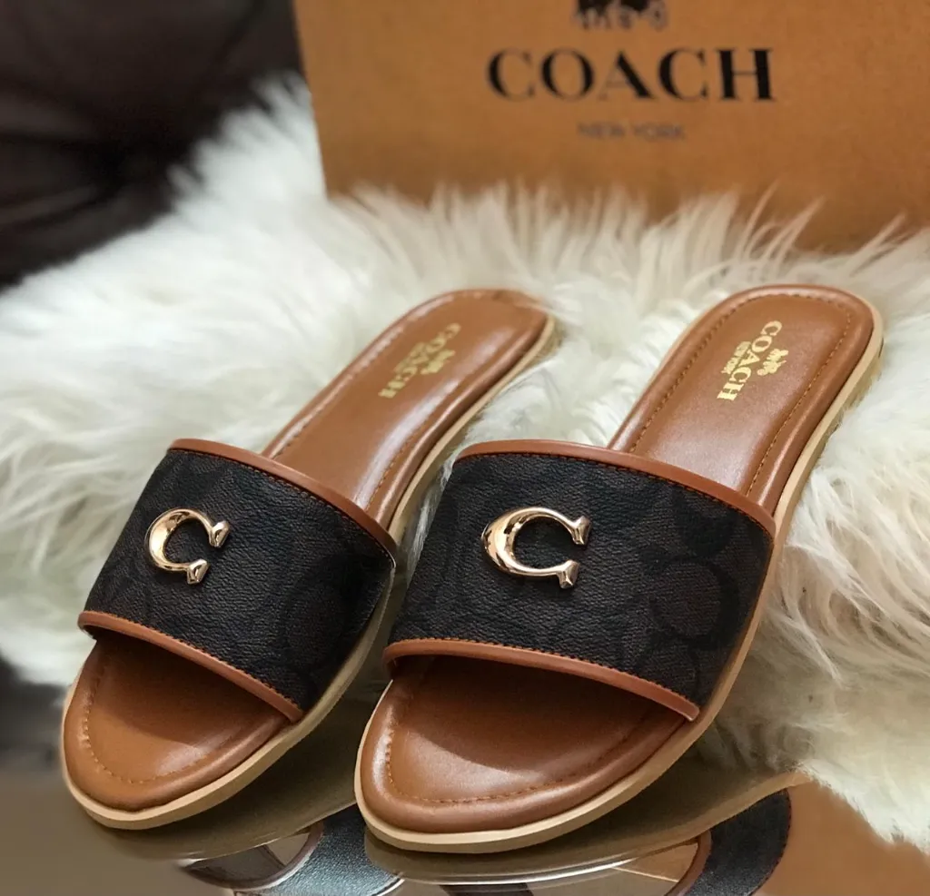 WhatsApp Image 2026-03-11 at 2.26.44 PM (2).webp